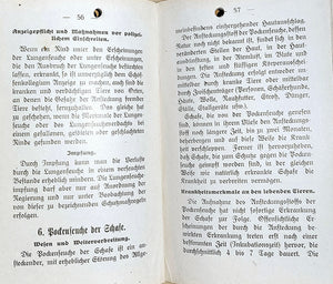 Gemeinfassliche Belehrung über die nach dem Viehseuchengesetz vom 29. Juli 1912 der Anzeigepflicht unterliegenden - Seuchen