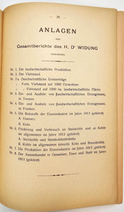 Die wirtschaftliche Orientierung des Großherzogtums Luxemburg