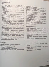 Laden Sie das Bild in den Galerie-Viewer, Dudelange - Passé et Présent d&#39;une Ville Industrielle