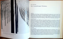 Laden Sie das Bild in den Galerie-Viewer, Mosaïque Mosellane